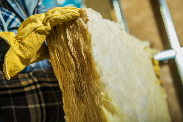 Best Commercial Insulation in Daleville, IN