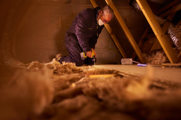 Best Residential Insulation in Daleville, IN